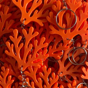 Federico hat ein Foto des gekauften Artikels hinzugefügt