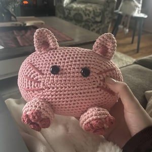 Rachael added a photo of their purchase