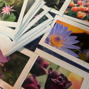 Melanie added a photo of their purchase