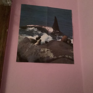 AJ added a photo of their purchase