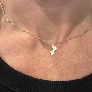 Megan added a photo of their purchase