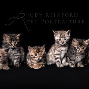 Norine ha añadido una foto de su compra