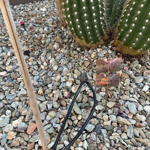 Melanie added a photo of their purchase