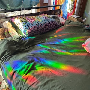 Rachel added a photo of their purchase