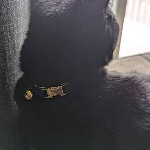 Angela a ajouté une photo de son achat
