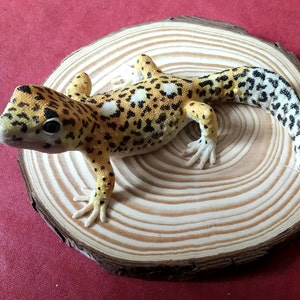 Claire added a photo of their purchase
