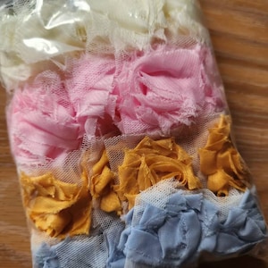 Alura added a photo of their purchase