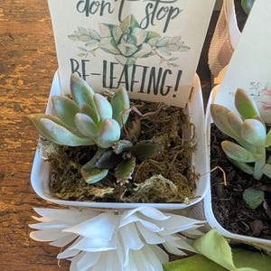 Stephanie added a photo of their purchase