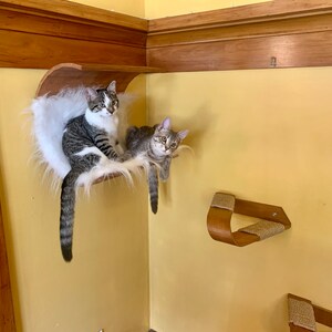 Cozy Wooden Cat Trees That Looks Like Trees By Realtreecatsstore