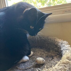 Tamara adicionaram uma foto da sua compra