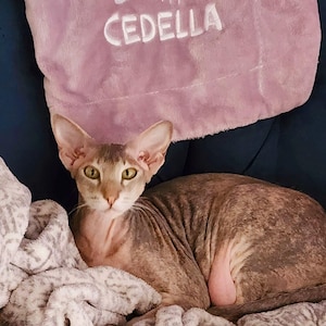 Penny added a photo of their purchase