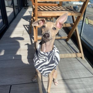 Sasha heeft een foto van de aankoop toegevoegd