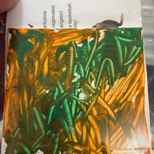 Paul ha aggiunto una foto del proprio acquisto