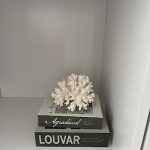 華子 added a photo of their purchase