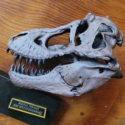 Ultimate Tyrannosaurus Rex Crate - Etsy