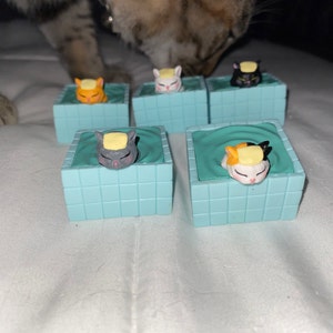Jordan added a photo of their purchase