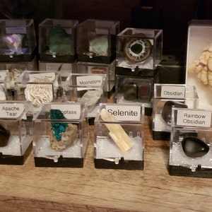 Diana added a photo of their purchase