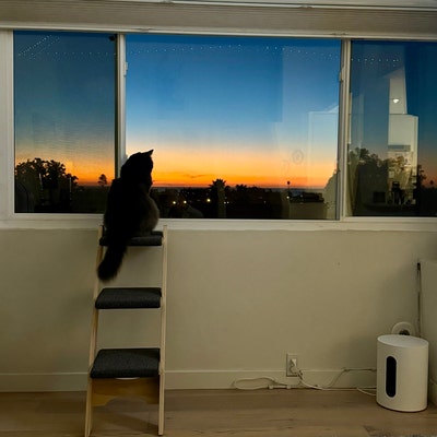 Picture of Cat Ladder 3 Step Cherry Hardwood Handcrafted High-quality Ladder for ...