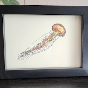 Anita added a photo of their purchase