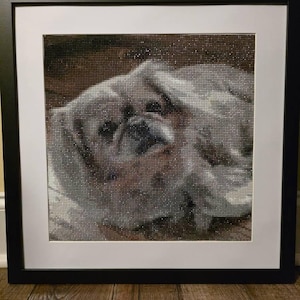 Ashley added a photo of their purchase