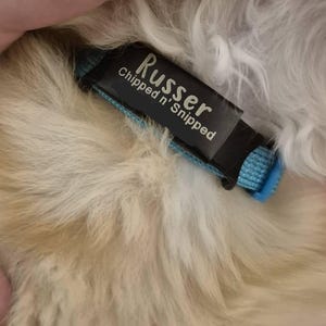 Raven added a photo of their purchase