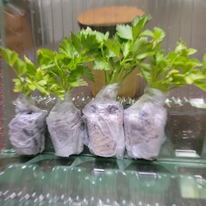 Zoraida added a photo of their purchase