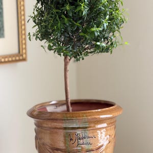 Mary added a photo of their purchase