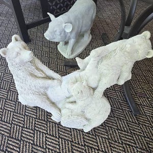 Susan added a photo of their purchase
