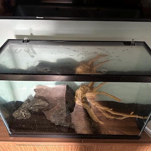 Porfirio added a photo of their purchase