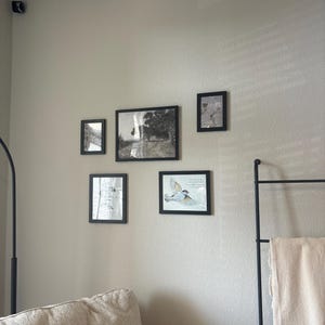 Sylvana added a photo of their purchase