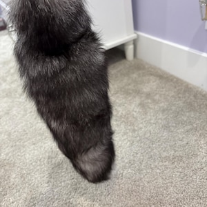 Charlotte added a photo of their purchase