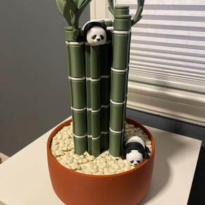 Renee added a photo of their purchase