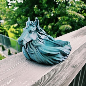 Traci added a photo of their purchase