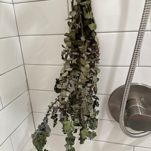 Robert hat ein Foto des gekauften Artikels hinzugefügt