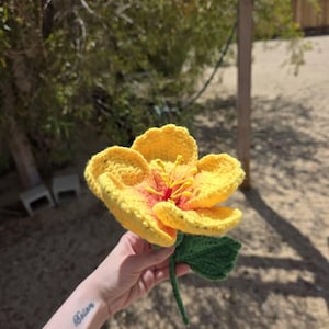 Elizabeth added a photo of their purchase