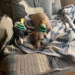 Buffy ha añadido una foto de su compra