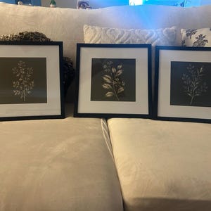 Denise added a photo of their purchase