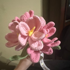 Angela added a photo of their purchase