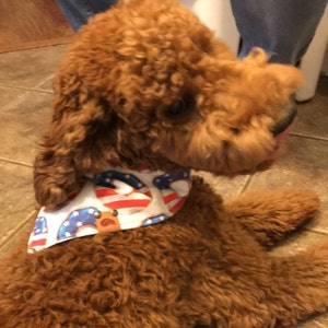 Sarah added a photo of their purchase