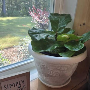 Heather added a photo of their purchase