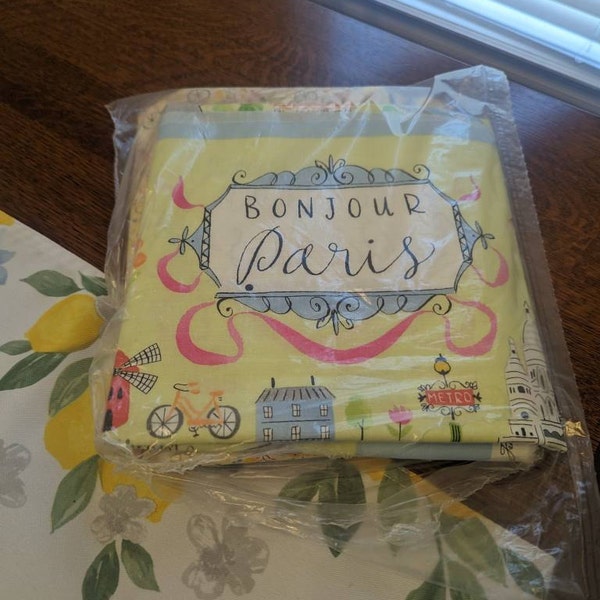 Cascading Ribbons Quilt Pattern by Cut Loose Press *domestic 1st Class ...