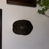 Anthracite Coal, For Industrial, Packaging Size: Loose At Rs 1600