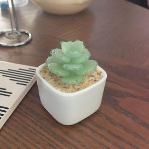 米国の販売者 - 手作りガラス鉢植え植物、多肉植物、人工サボテン