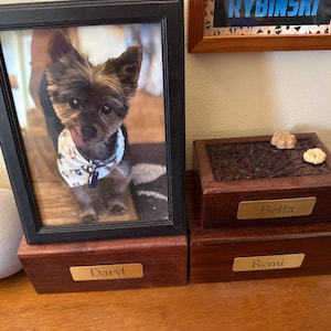 Shelly added a photo of their purchase