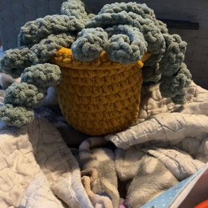 Kaitlynn added a photo of their purchase