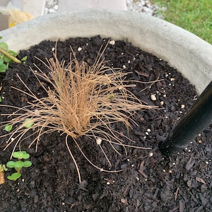 Neetu added a photo of their purchase