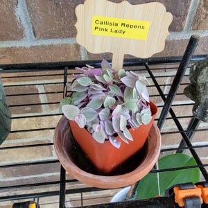 Valerie added a photo of their purchase