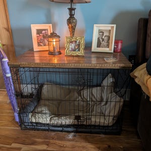 Tamara added a photo of their purchase