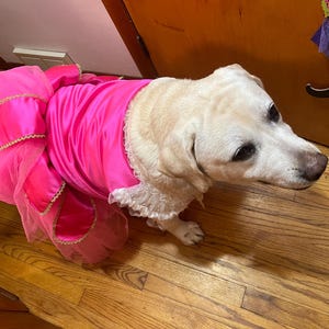 Elizabeth added a photo of their purchase
