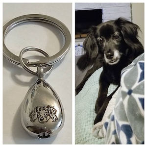 Erin a ajouté une photo de son achat